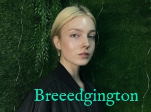Breeedgington