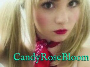 CandyRoseBloom