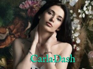 CarlaDash