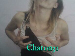 Chaton31