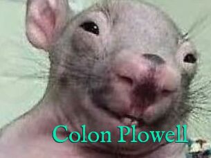 Colon_Plowell