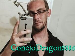 ConejoDragon8886