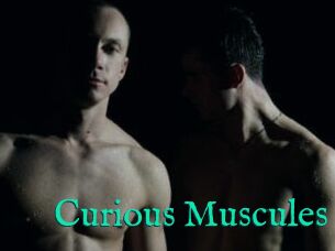 Curious_Muscules