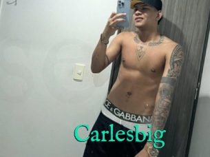 Carlesbig