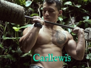 Carllewis