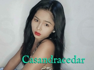 Casandracedar