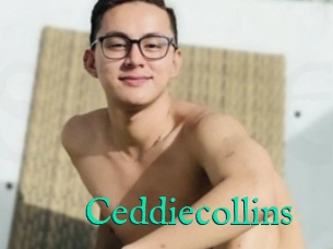 Ceddiecollins