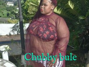 Chubby_bule