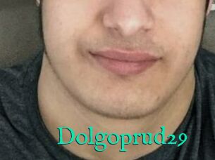 Dolgoprud29