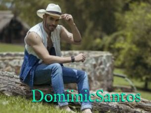 DomiinicSantos