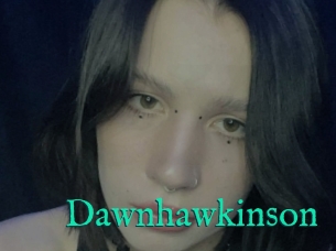 Dawnhawkinson