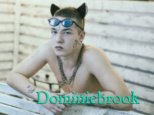 Dominicbrook