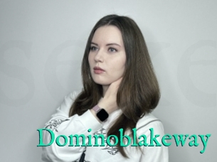 Dominoblakeway