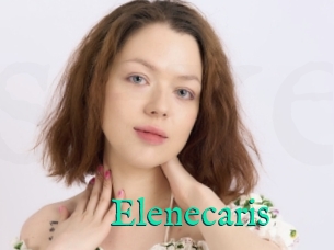 Elenecaris