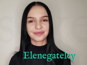 Elenegateley