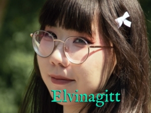 Elvinagitt