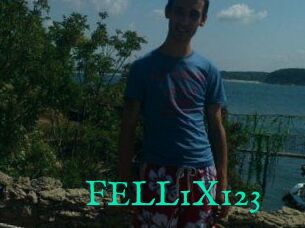 FELL1X123
