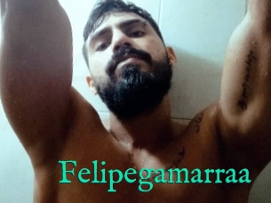 Felipegamarraa