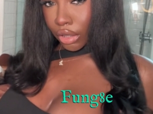 Fung8e