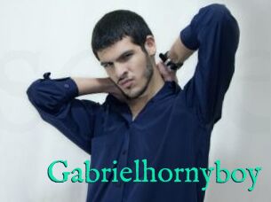 Gabrielhornyboy