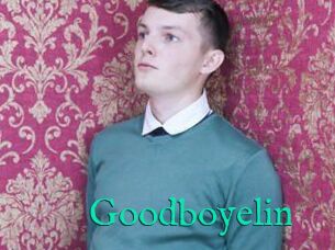 Goodboyelin