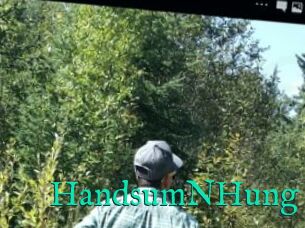 HandsumNHung