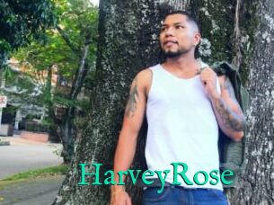 HarveyRose