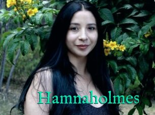Hamnaholmes