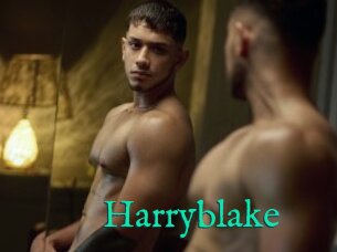 Harryblake