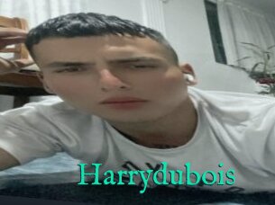 Harrydubois