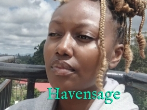 Havensage