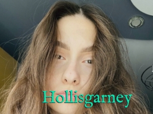 Hollisgarney