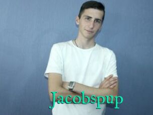 Jacobspup