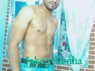 Jakegyllenha