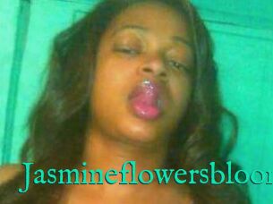 Jasmineflowersbloom