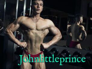 Johnlittleprince