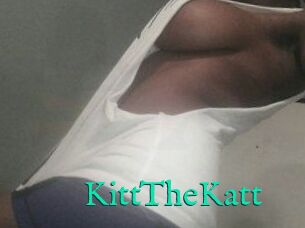 Kitt_The_Katt
