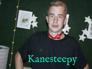 Kanesteepy