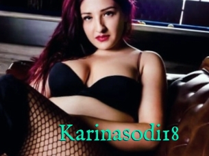 Karinasodi18