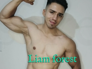 Liam_forest