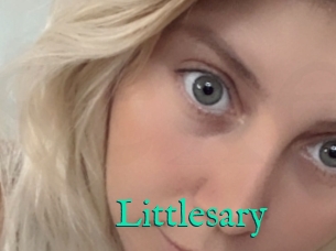 Littlesary