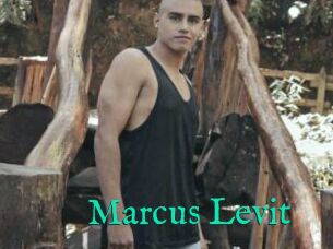 Marcus_Levit