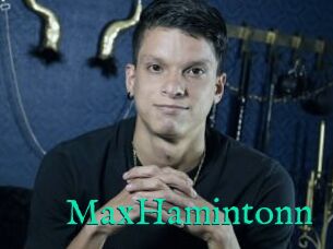 MaxHamintonn
