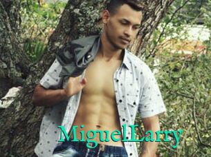 MiguelLarry