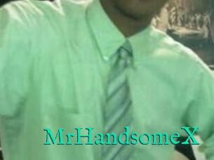 MrHandsomeX