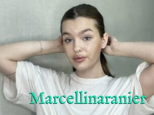 Marcellinaranier