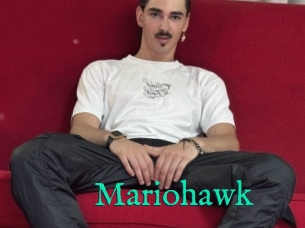 Mariohawk