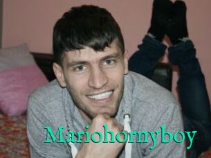 Mariohornyboy