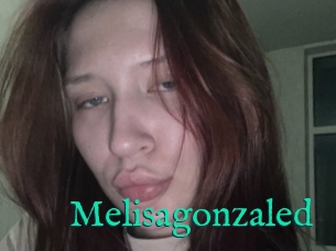 Melisagonzaled