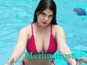 Merlinafrost